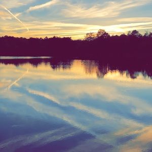 Meet your Posher, Ella